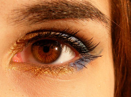 Brown 518324 340
